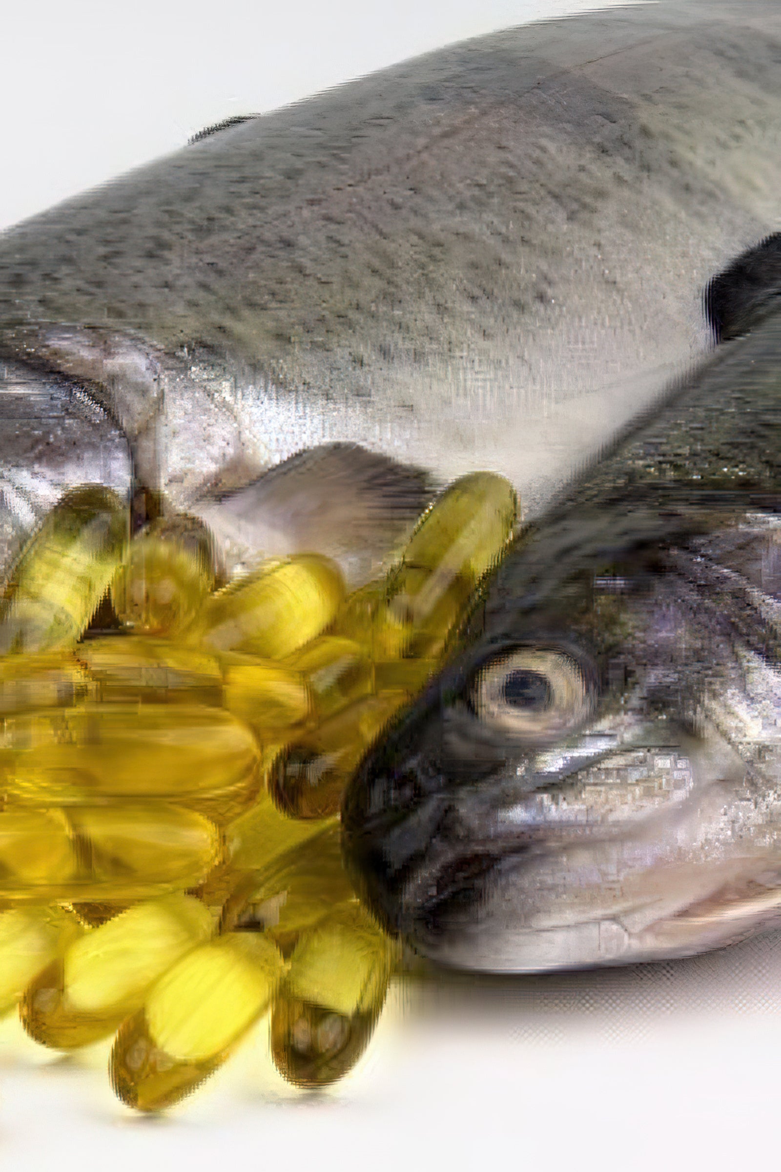 Warum ist es wichtig Fischöl zu supplementieren?
