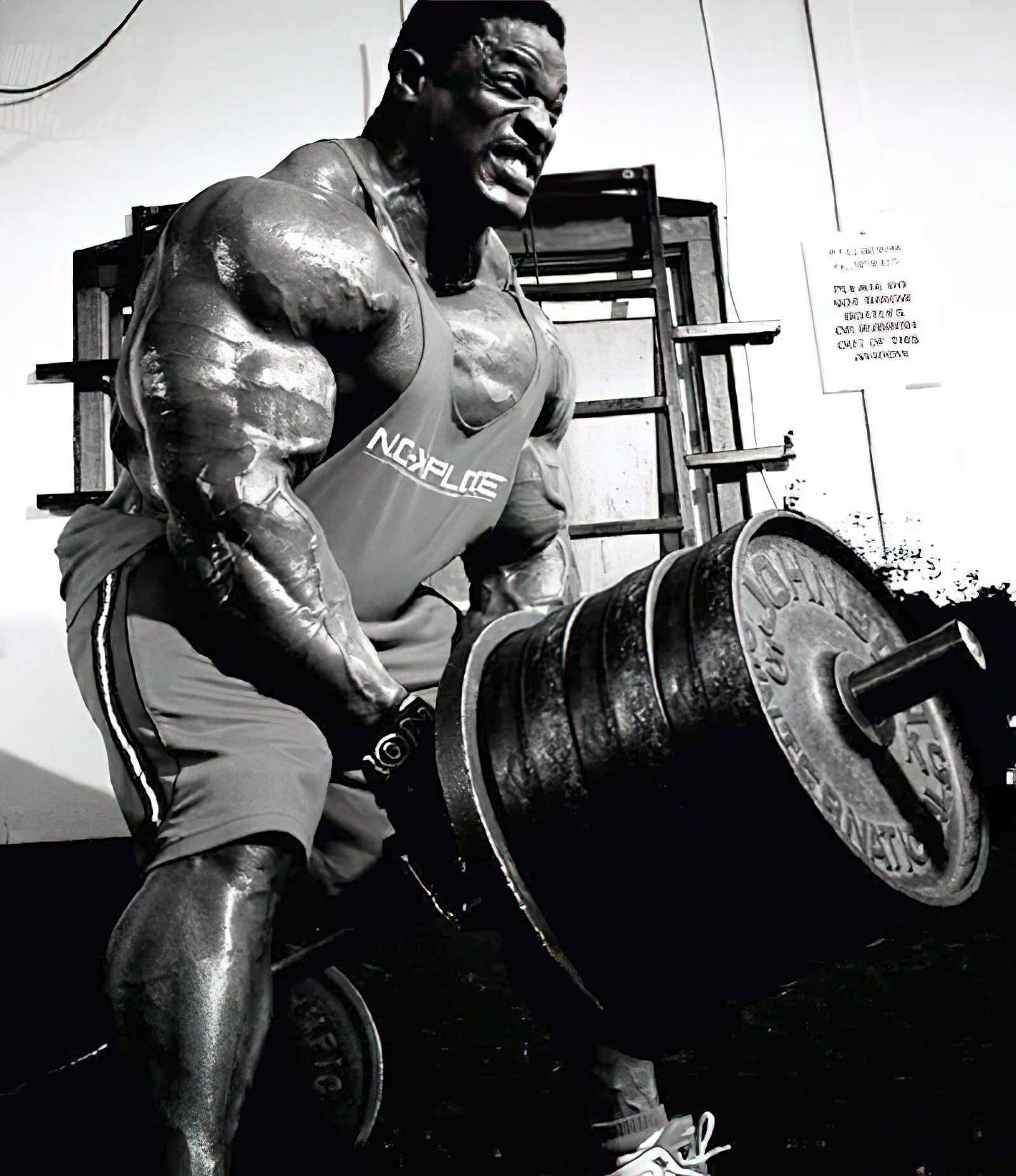 l carnitine study L-Carnitine: A Comprehensive Guide – Outwork Nutrition