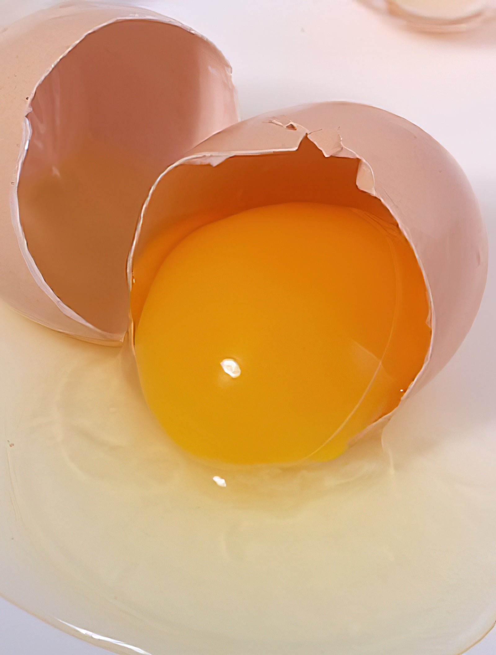 Ei- Proteinpulver….wirklich so gut?