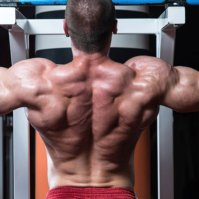 Glukosamin fördert die Blutzuckerregulation