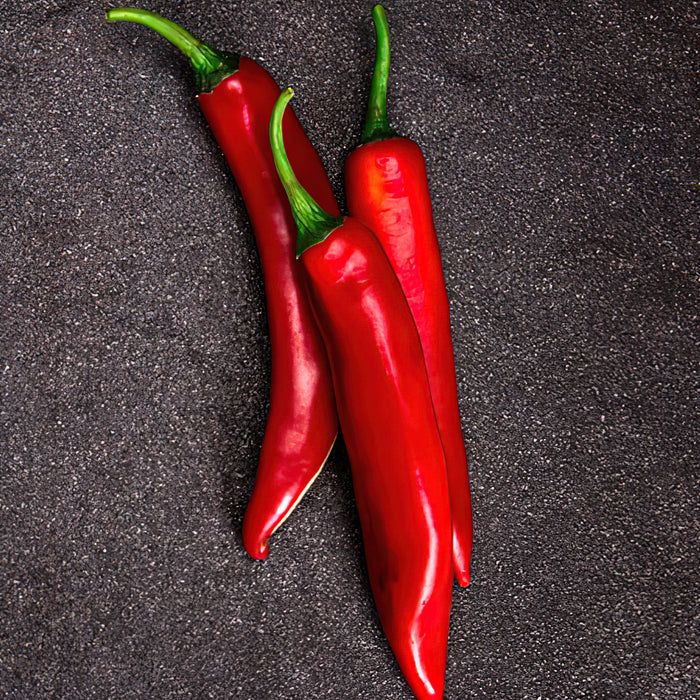 Capsaicin reduziert die Strahlungsdosis bei der Prostatakrebstherapie