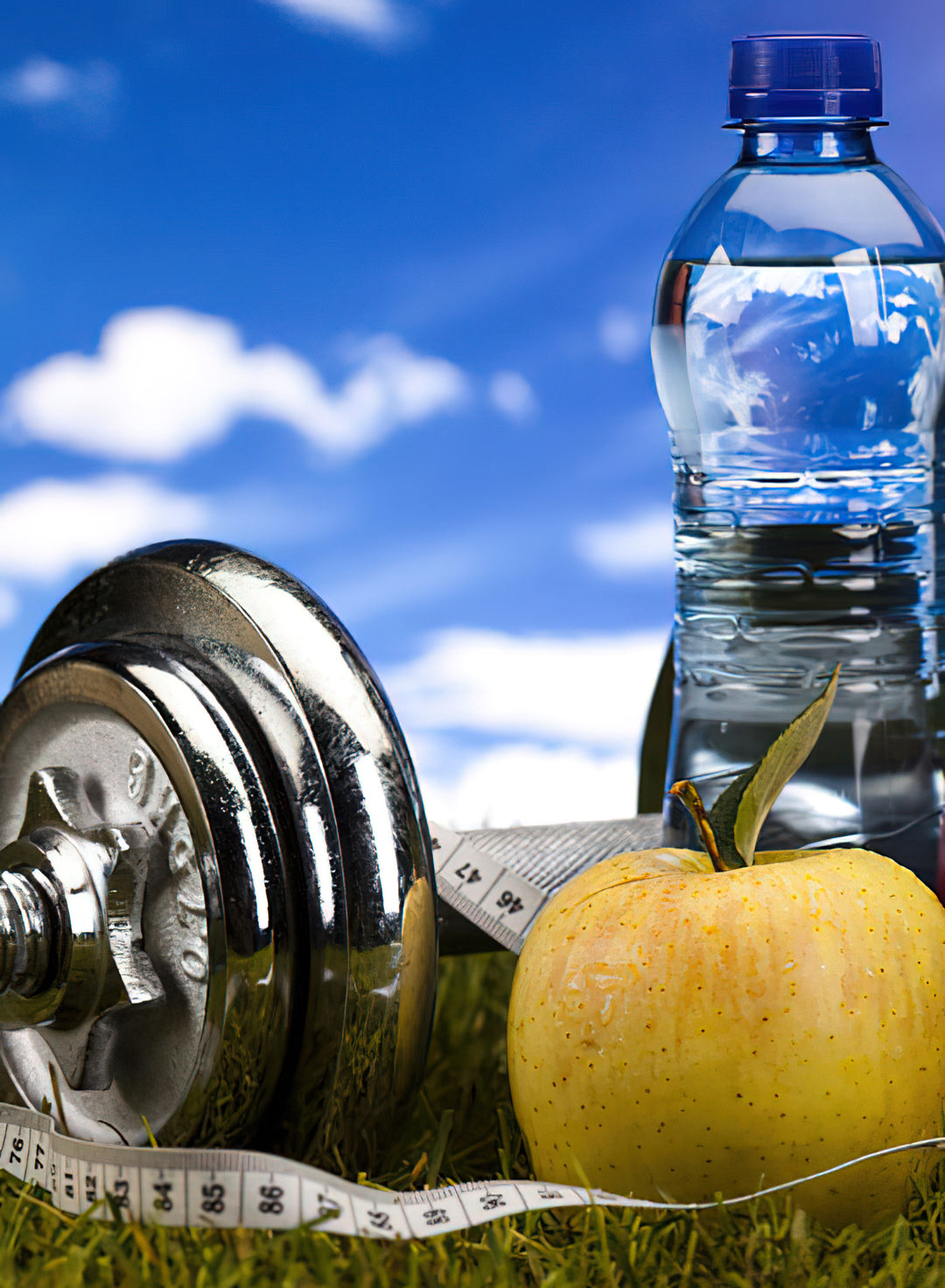 Training und Ernährung verbessern die Symptome des metabolischen Syndroms