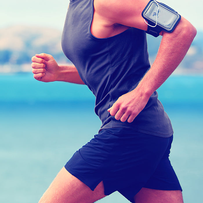 Training beschleunigt die Fruktoseverwendung