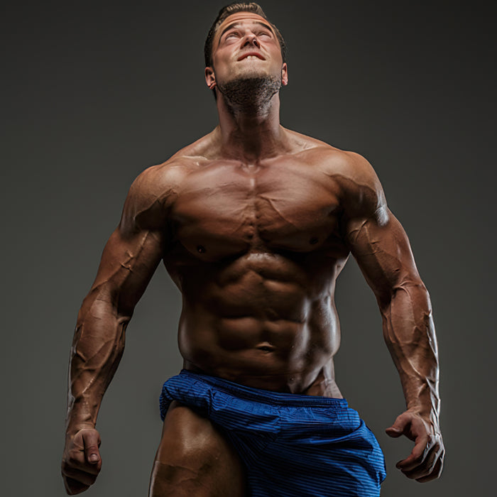 Ganzkörpertrainingseinheiten der Legenden