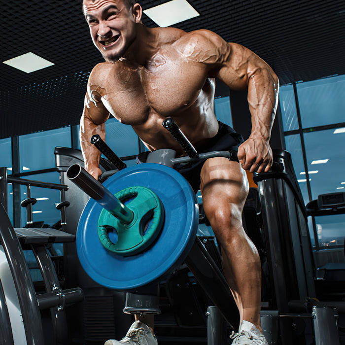 Masseaufbau leicht gemacht