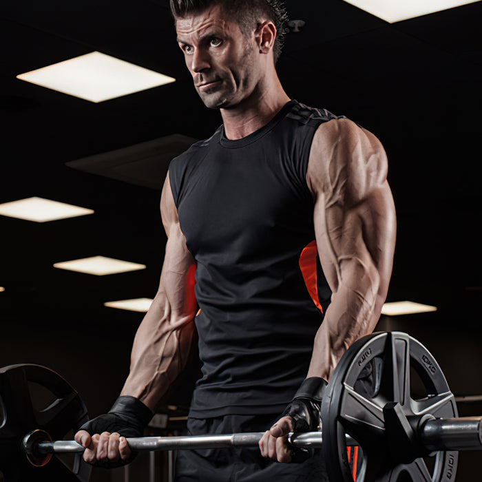 Die Wiederholungsbibel