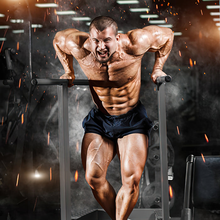 Push-Pull Training: Die nächste Generation