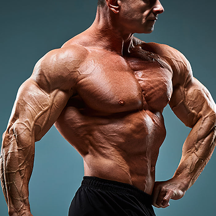 Vierzig Wege fit zu bleiben