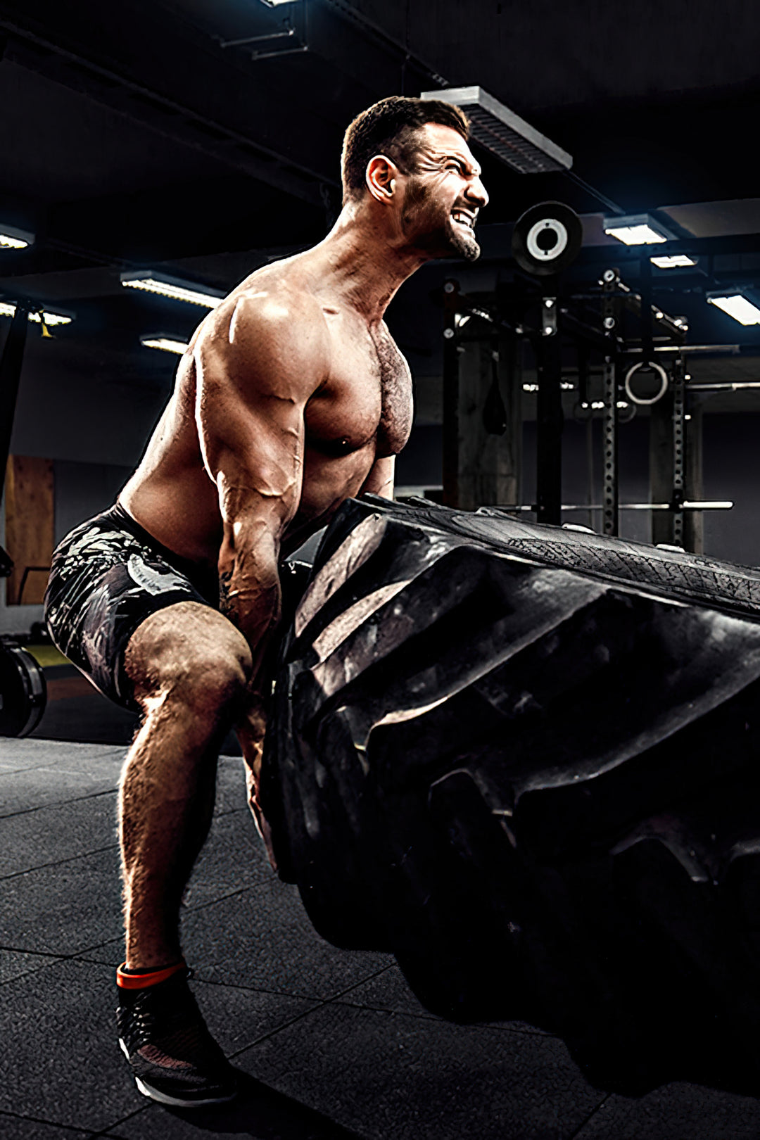 Monster Aufbau (Trainingsprogramms)