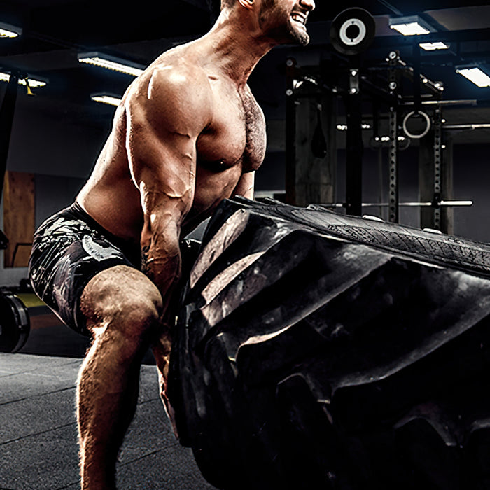 Monster Aufbau (Trainingsprogramms)