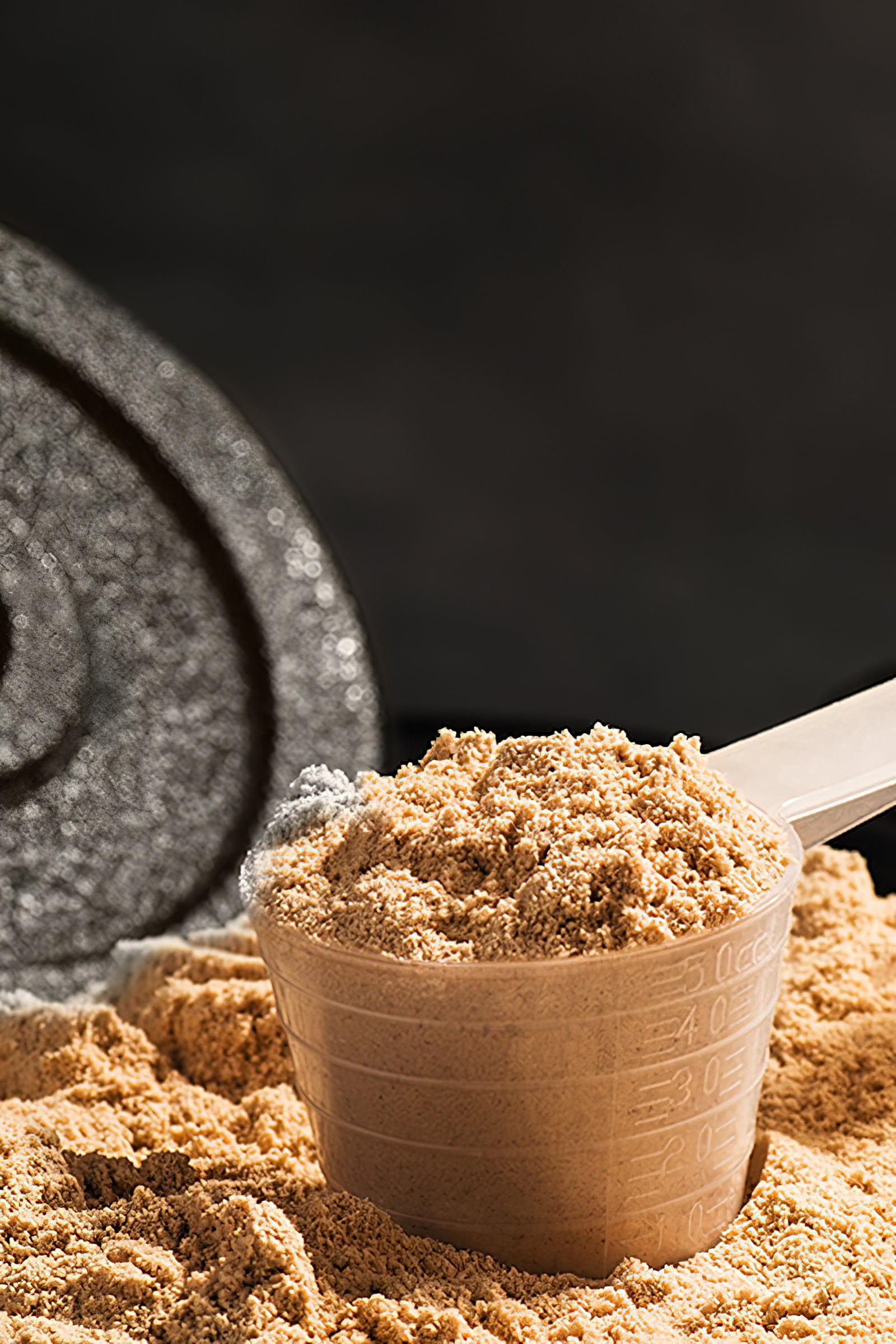 5 Typen von Proteinpulver, die Du ausprobieren solltest