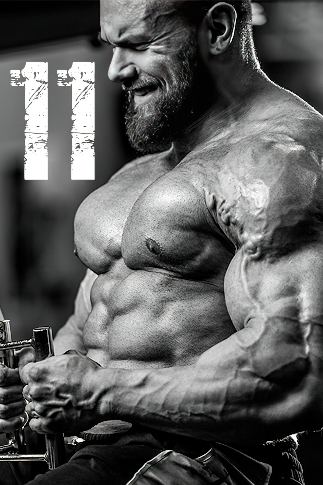 11 Prinzipien des Bodybuilding Trainings Teil 1