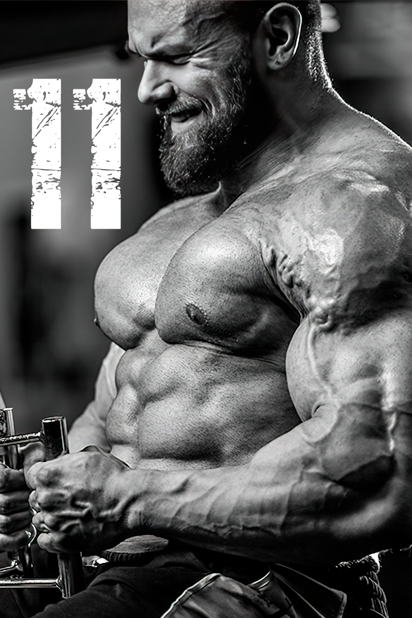 11 Prinzipien des Bodybuilding Trainings Teil 1
