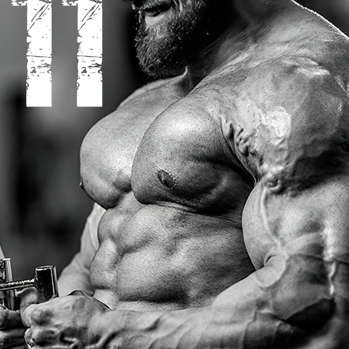 11 Prinzipien des Bodybuilding Trainings Teil 1