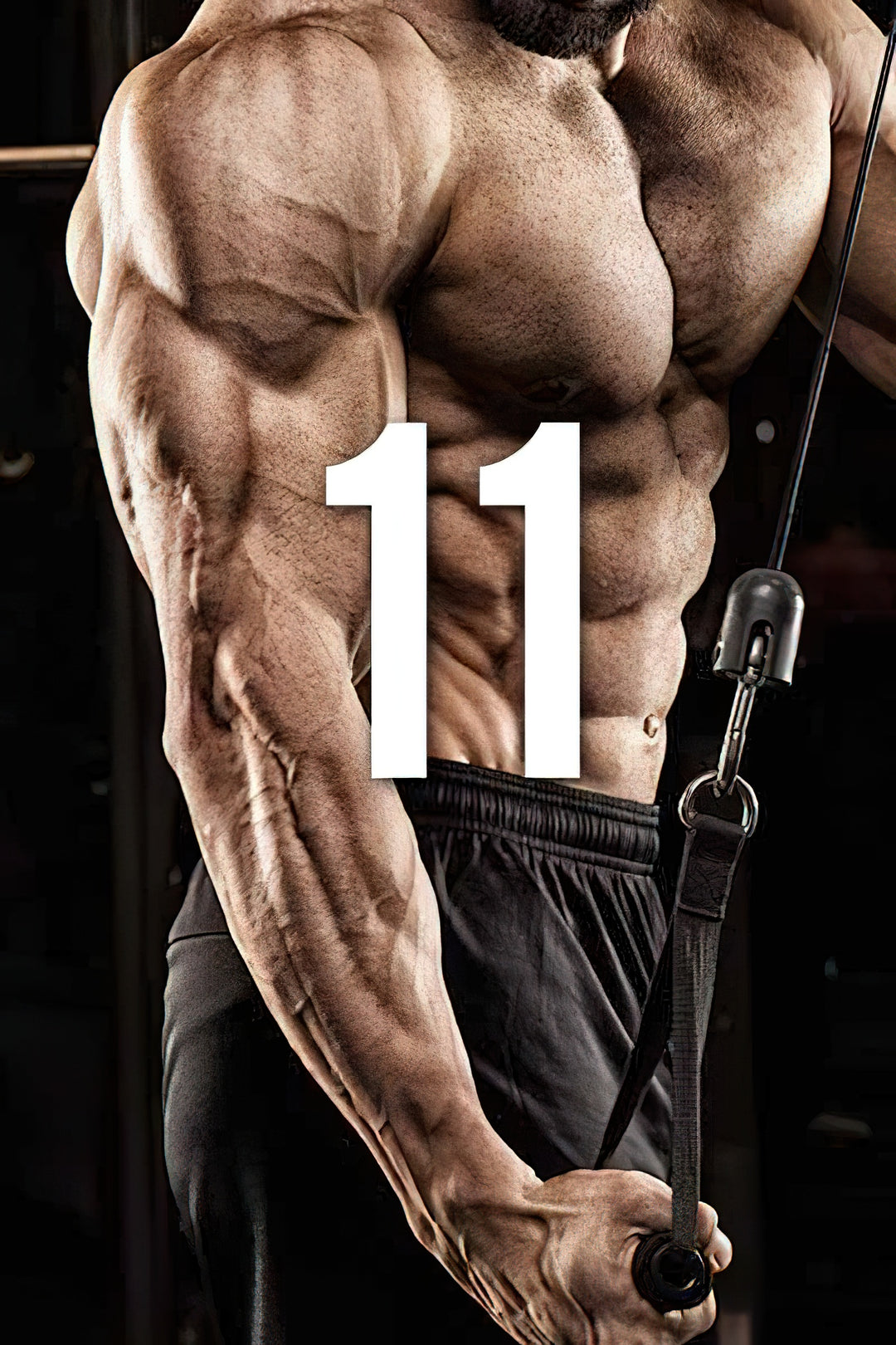 11 Prinzipien des Bodybuilding Trainings Teil 2
