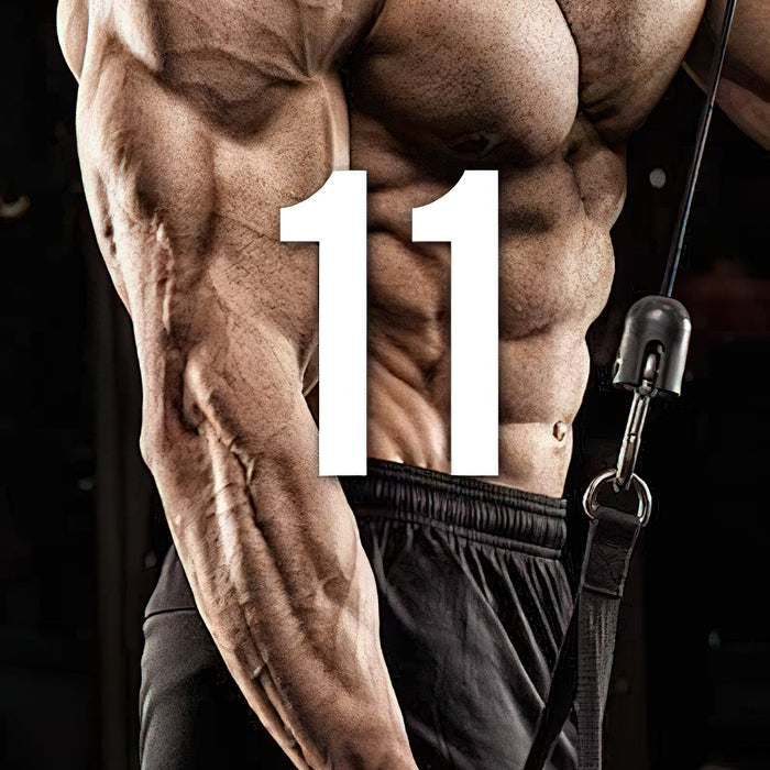 11 Prinzipien des Bodybuilding Trainings Teil 2