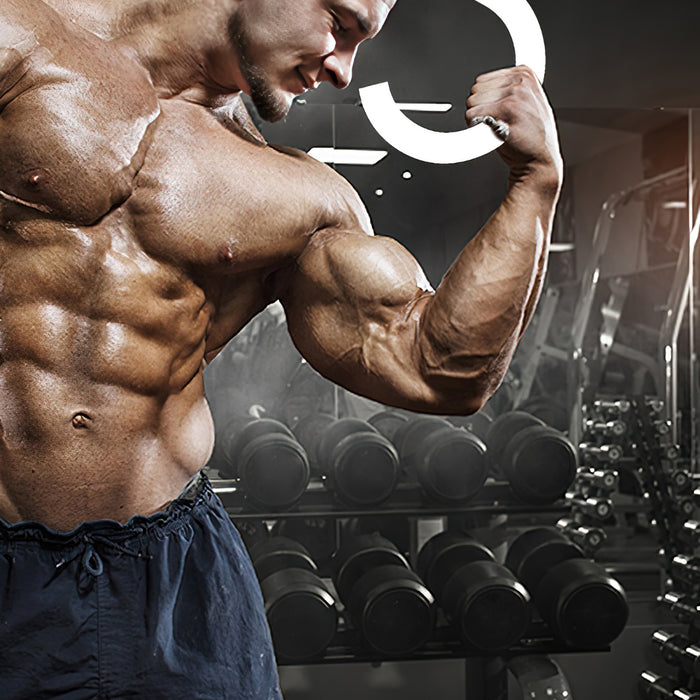 Wie man Muskeln aufbaut