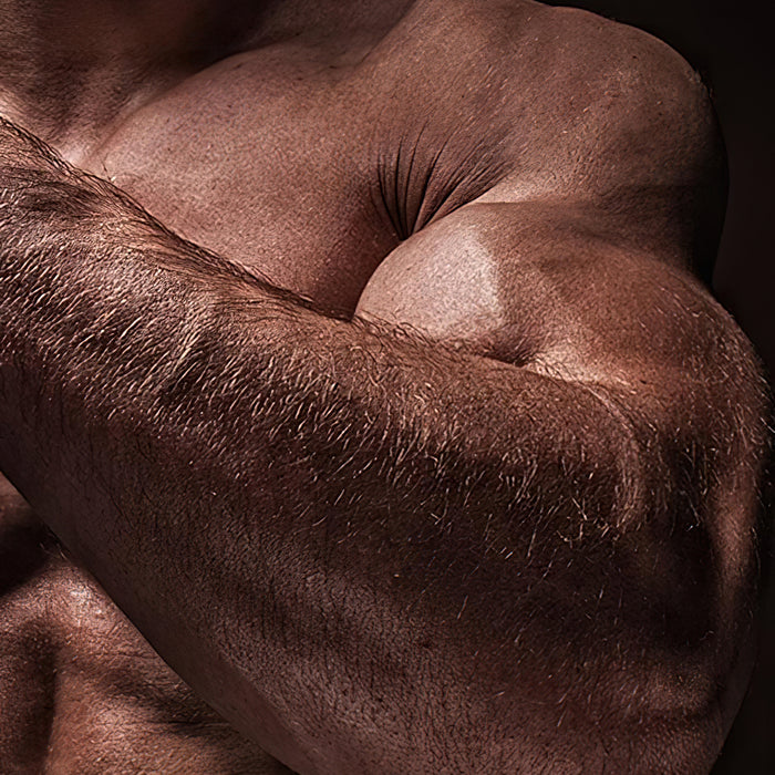 Hast Du das Ziel große Armmuskeln aufzubauen?