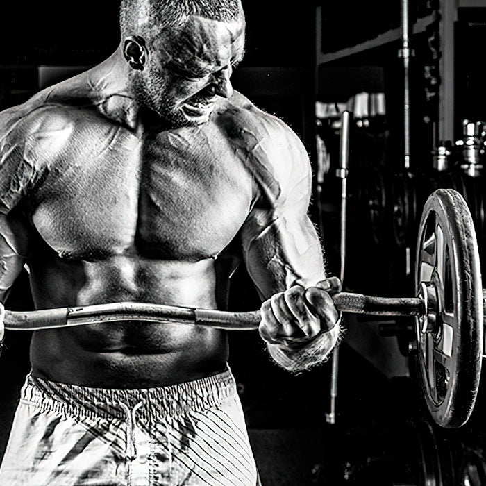 Quattro Dynamo Training