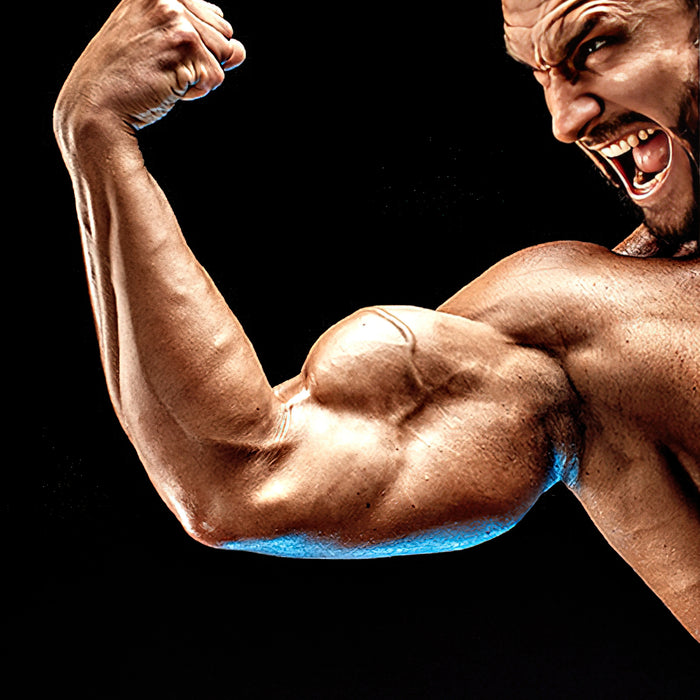 Der Pump: Broscience oder legitimer Muskelbilder?