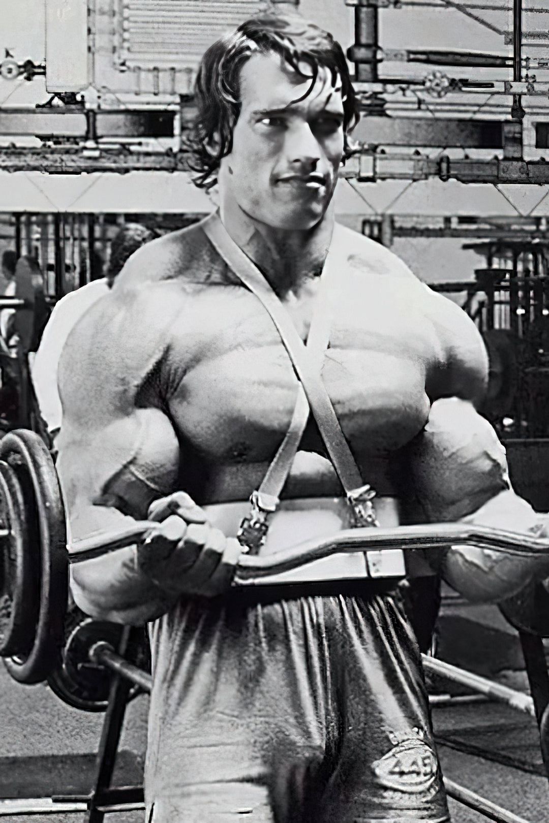 Arnolds bevorzugte Trainingsprinzipien