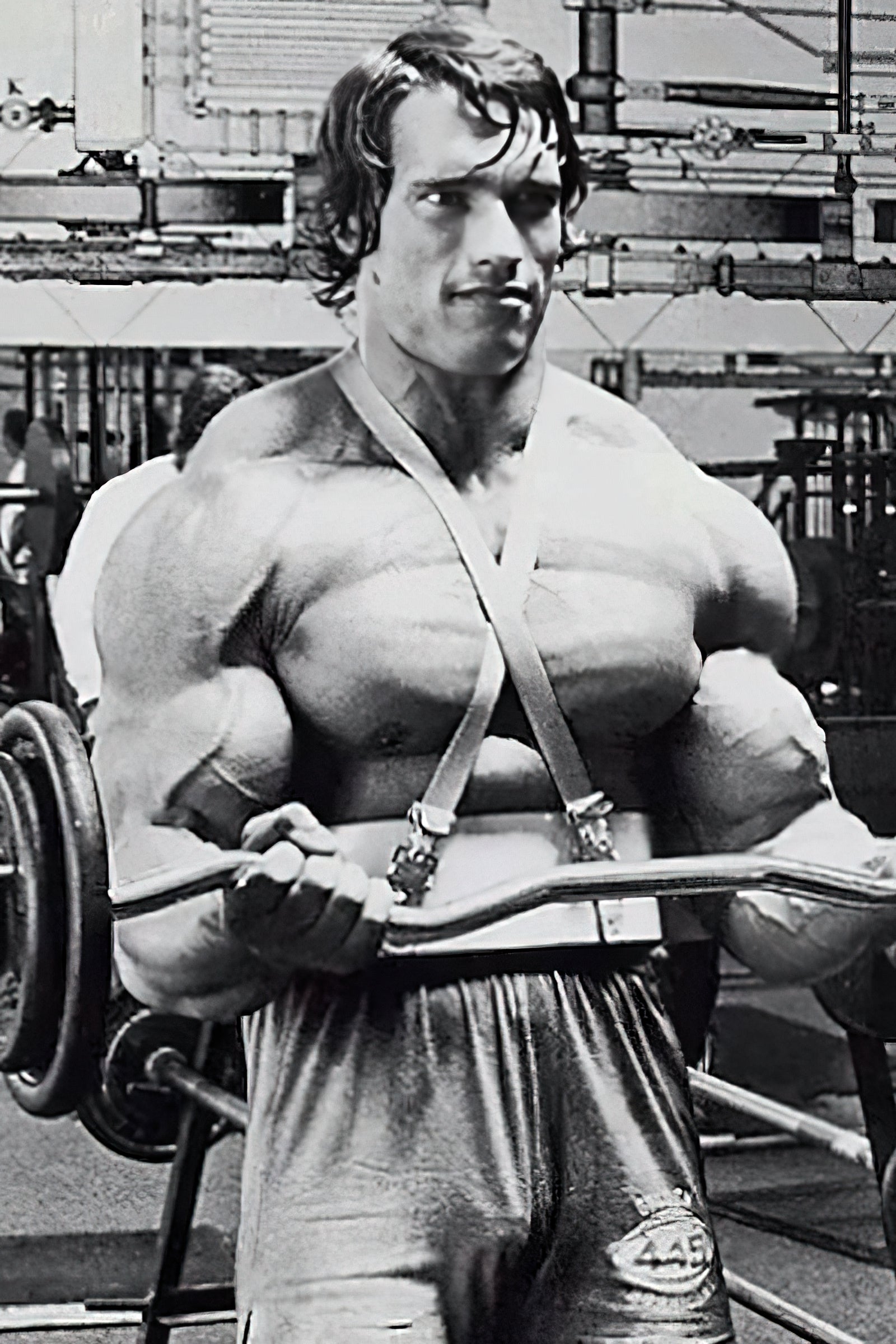 Arnolds bevorzugte Trainingsprinzipien
