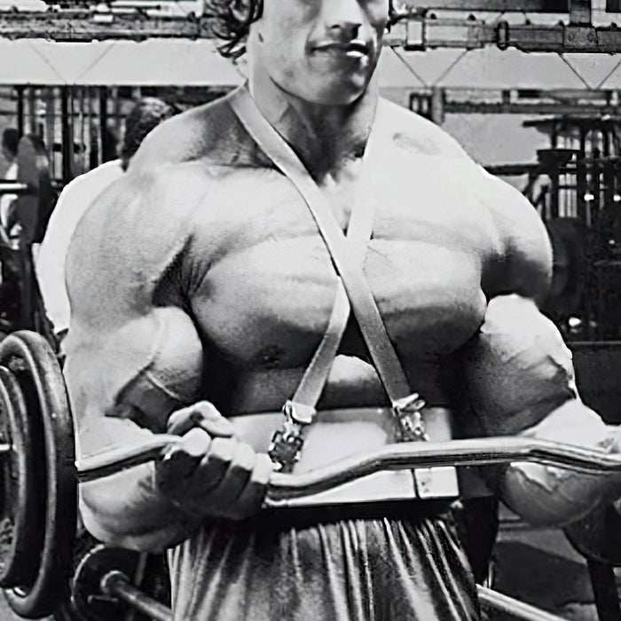 Arnolds bevorzugte Trainingsprinzipien