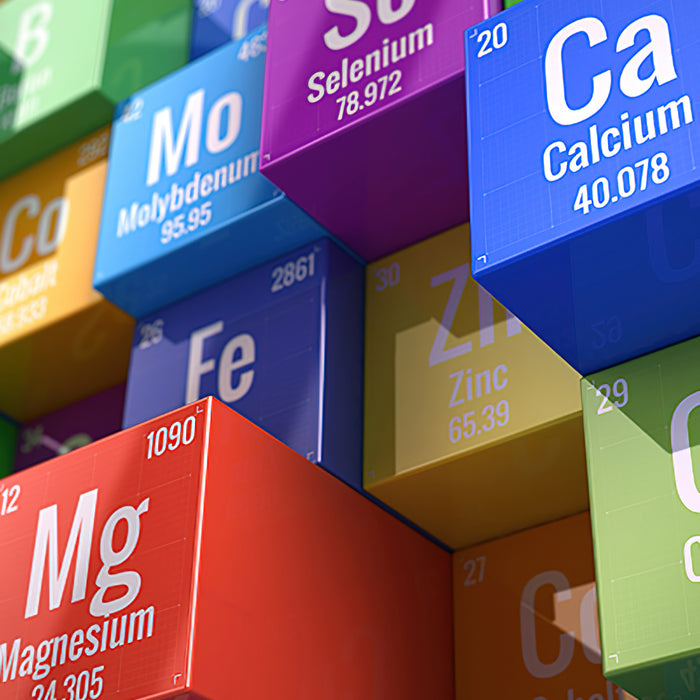 Supplementierung für den Erfolg: Der Schlüsselmineralstoff, an dem es Dir mangelt