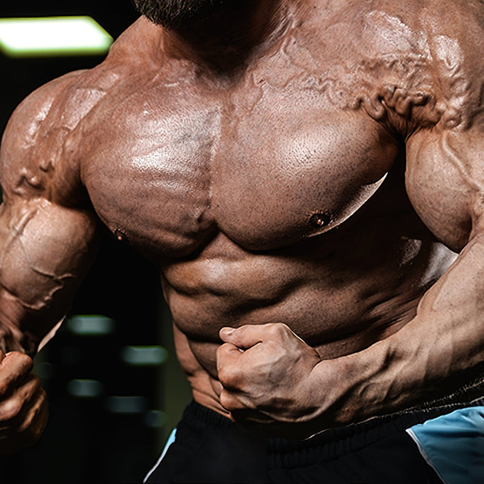 Mythen vs. Fakten: 12 Bodybuilding Ernährungsgewohnheiten näher betrachtet Teil 1
