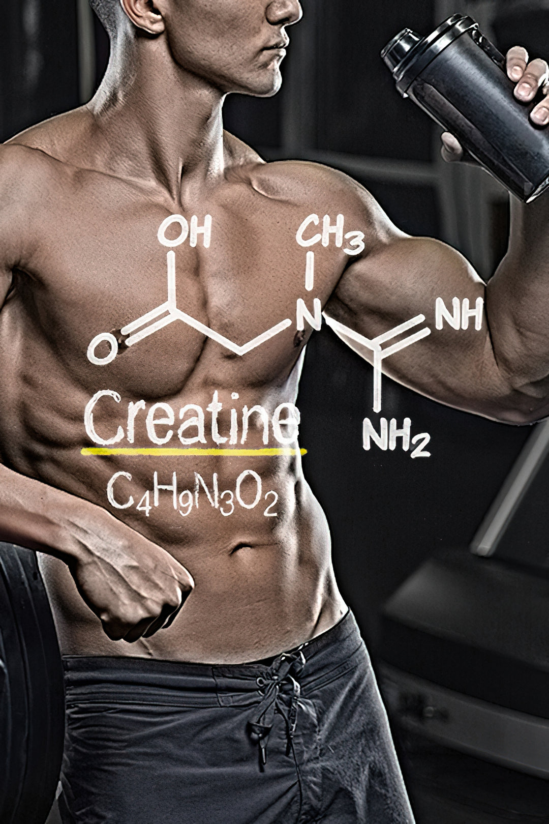 Kreatin: Die Chemie hinter dem Supplement