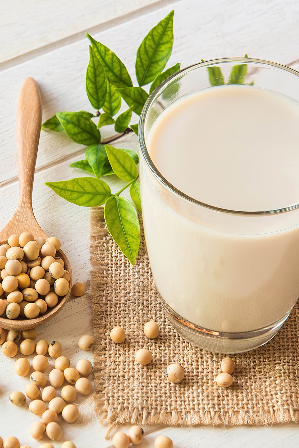 The soy protein guide