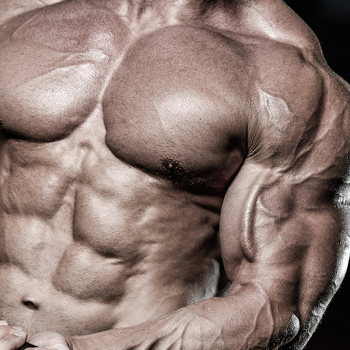 Die 10 Besten Wege für den Aufbau der Schultermuskeln Wie Du größere und breitere Schultern aufbauen kannst