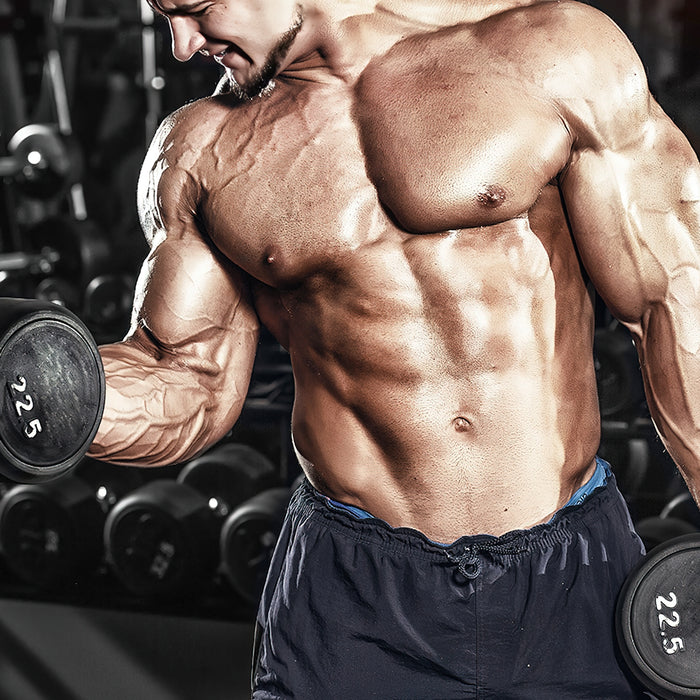 Sarkoplasmatische Hypertrophie: die Bros lagen wahrscheinlich richtig Teil 1