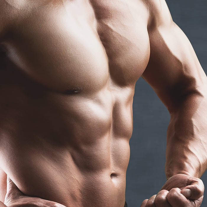 Sarkoplasmatische Hypertrophie: die Bros lagen wahrscheinlich richtig Teil 2