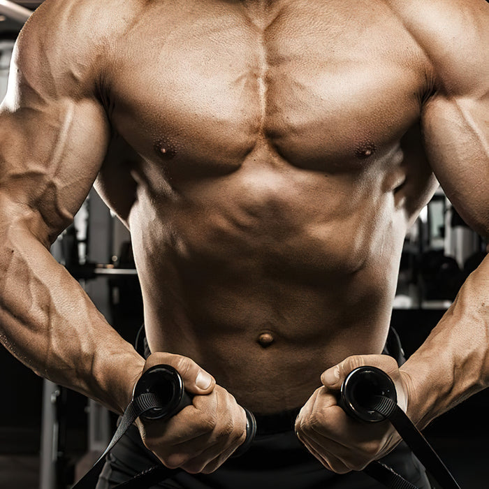 Wie Du eine Körpermitte aus Stahl aufbaust