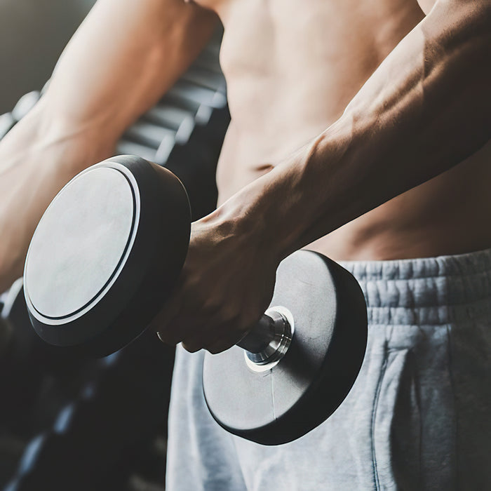 Die Wissenschaft der Anfängerzuwächse