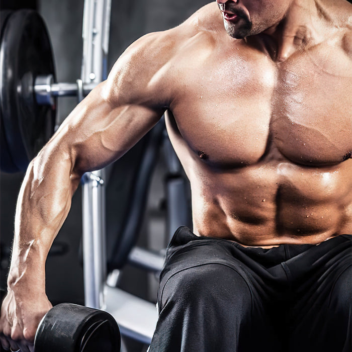 Vince Gironda inspirierte Trainingseinheiten: 8x8 Training, Einstellung und Prinzipien