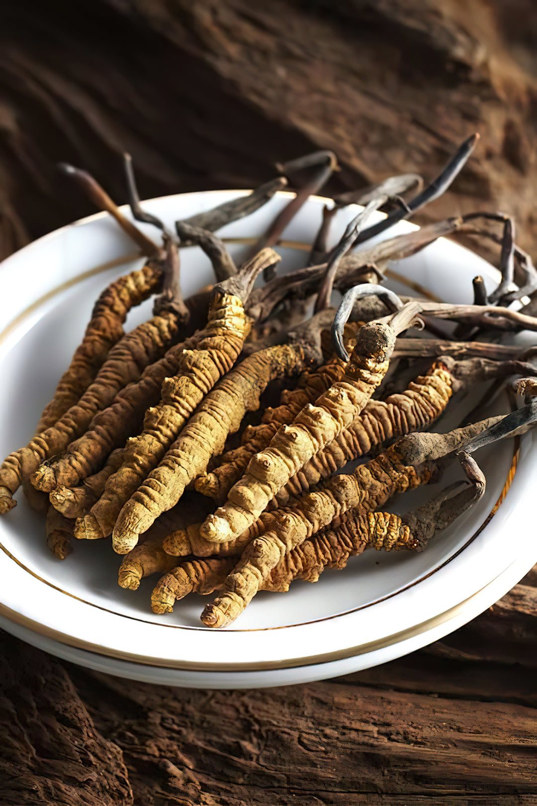 Ist Cordyceps ein magischer, medizinischer Pilz?