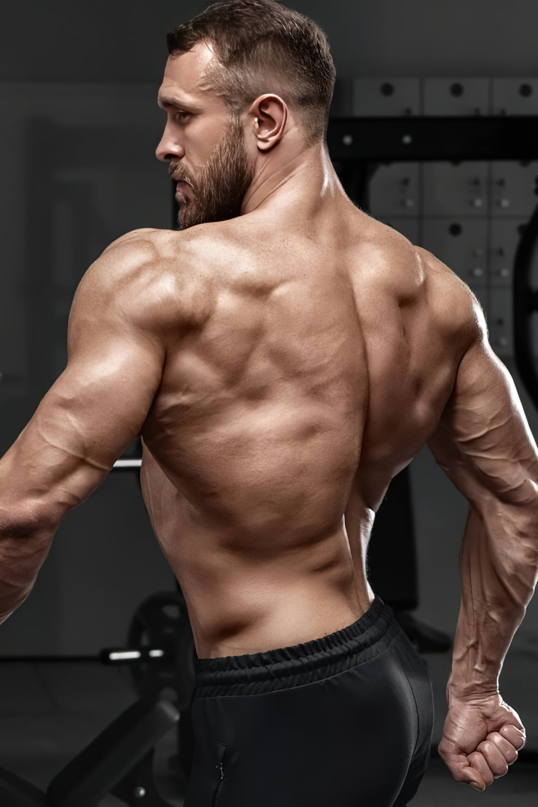 Der definitive Ratgeber für das Krafttraining Wie Du schnell stark wirst