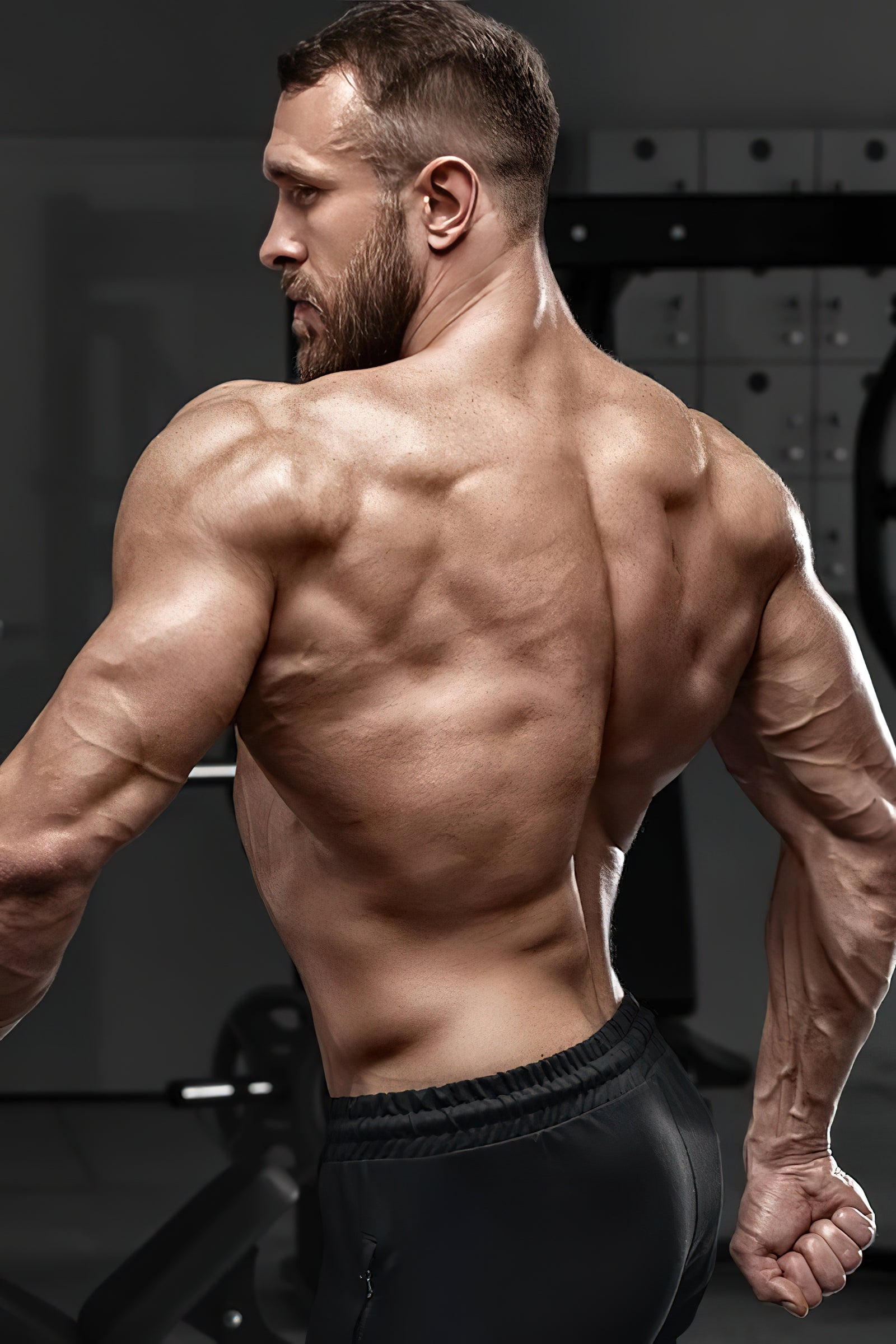 Der definitive Ratgeber für das Krafttraining Wie Du schnell stark wirst