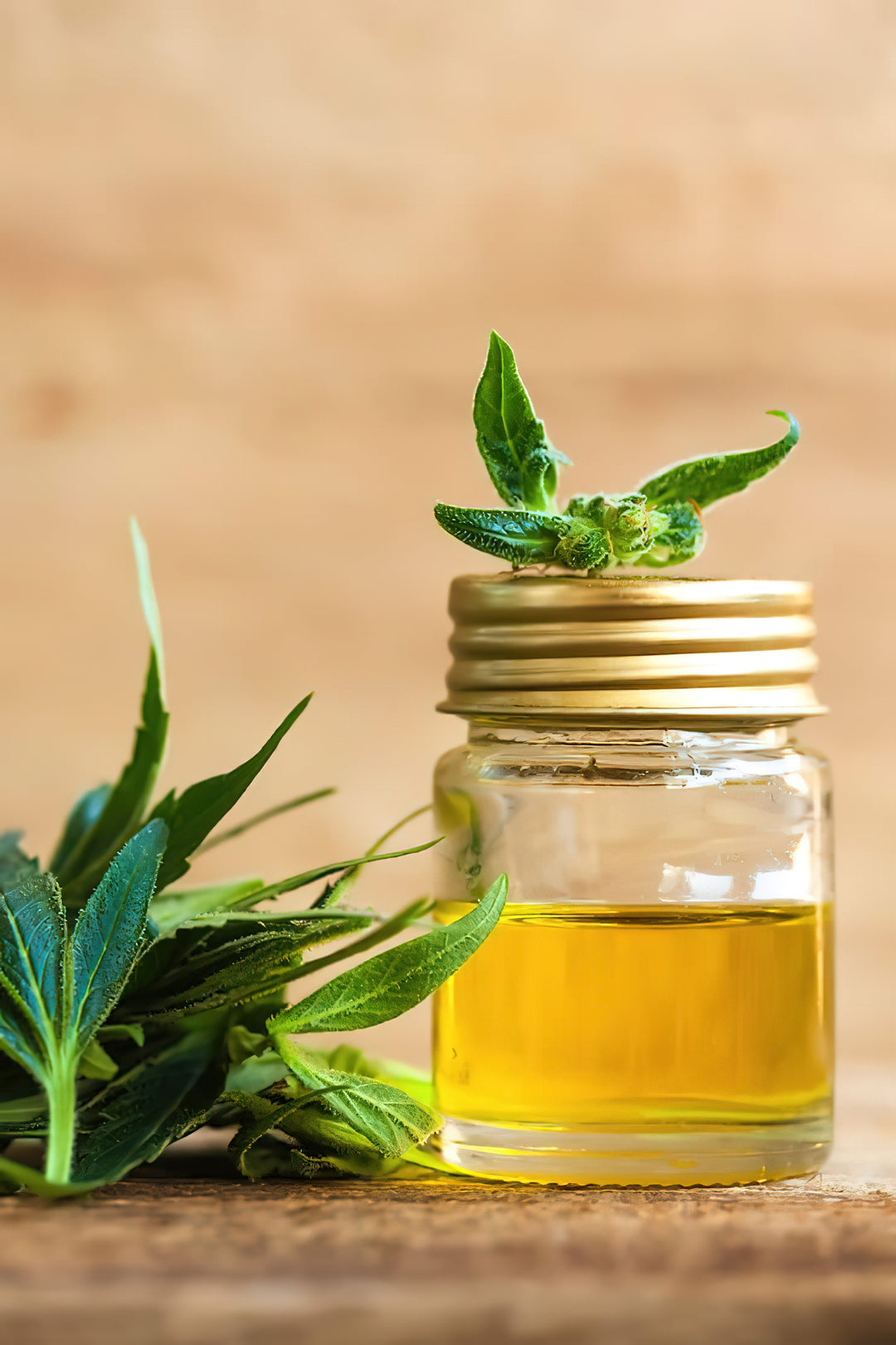 7 Benefits and areas of application of CBD oil