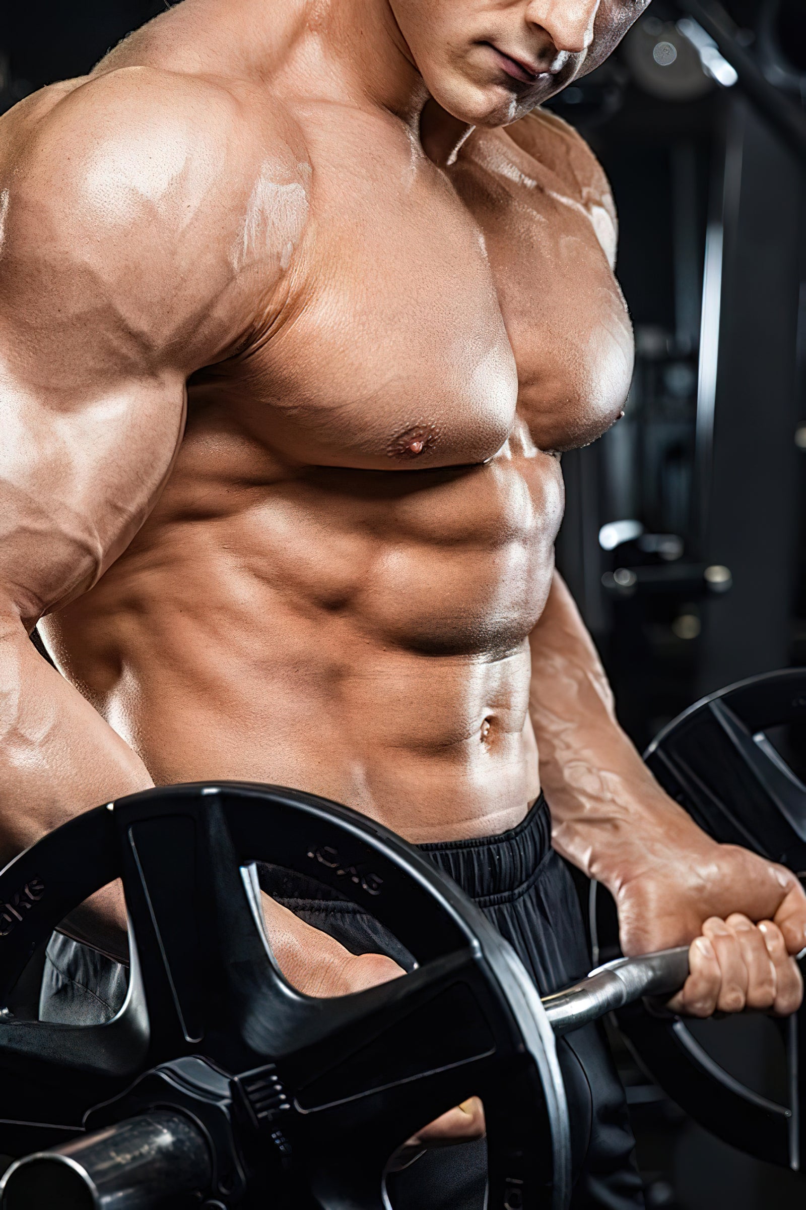 Was bestimmt die Trainingsfrequenz?
