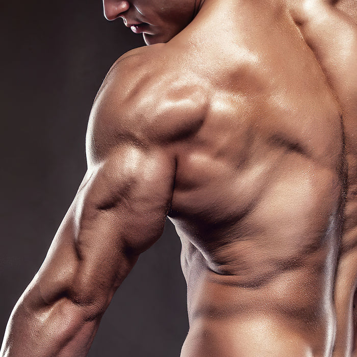 Tipps der Woche Tipp: Rege neues Trizepswachstum an