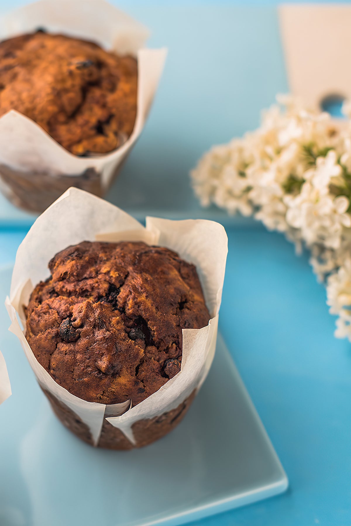 Recipe of the day Protein muffins for on the go