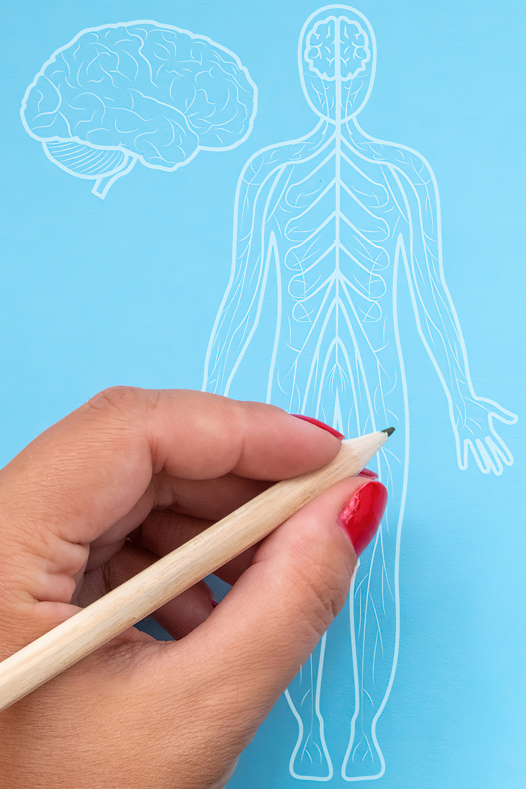 Tip of the week tip: Use this tapping test for the health of your CNS