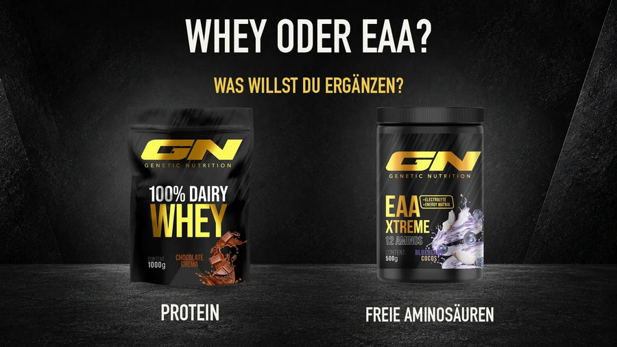 Amino acids or protein shake: differences and how to decide