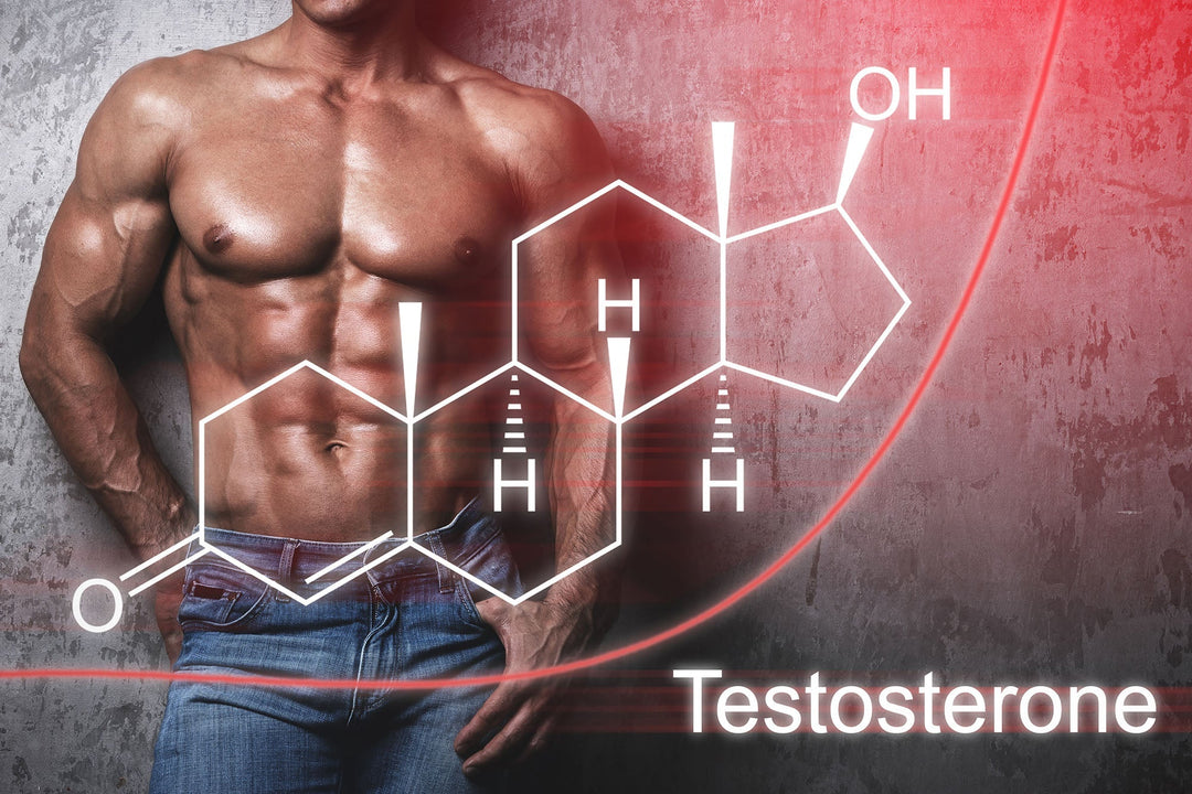 Wie sich Sport auf die Potenz auswirkt – Mehr Testosteron, mehr Lebensqualität