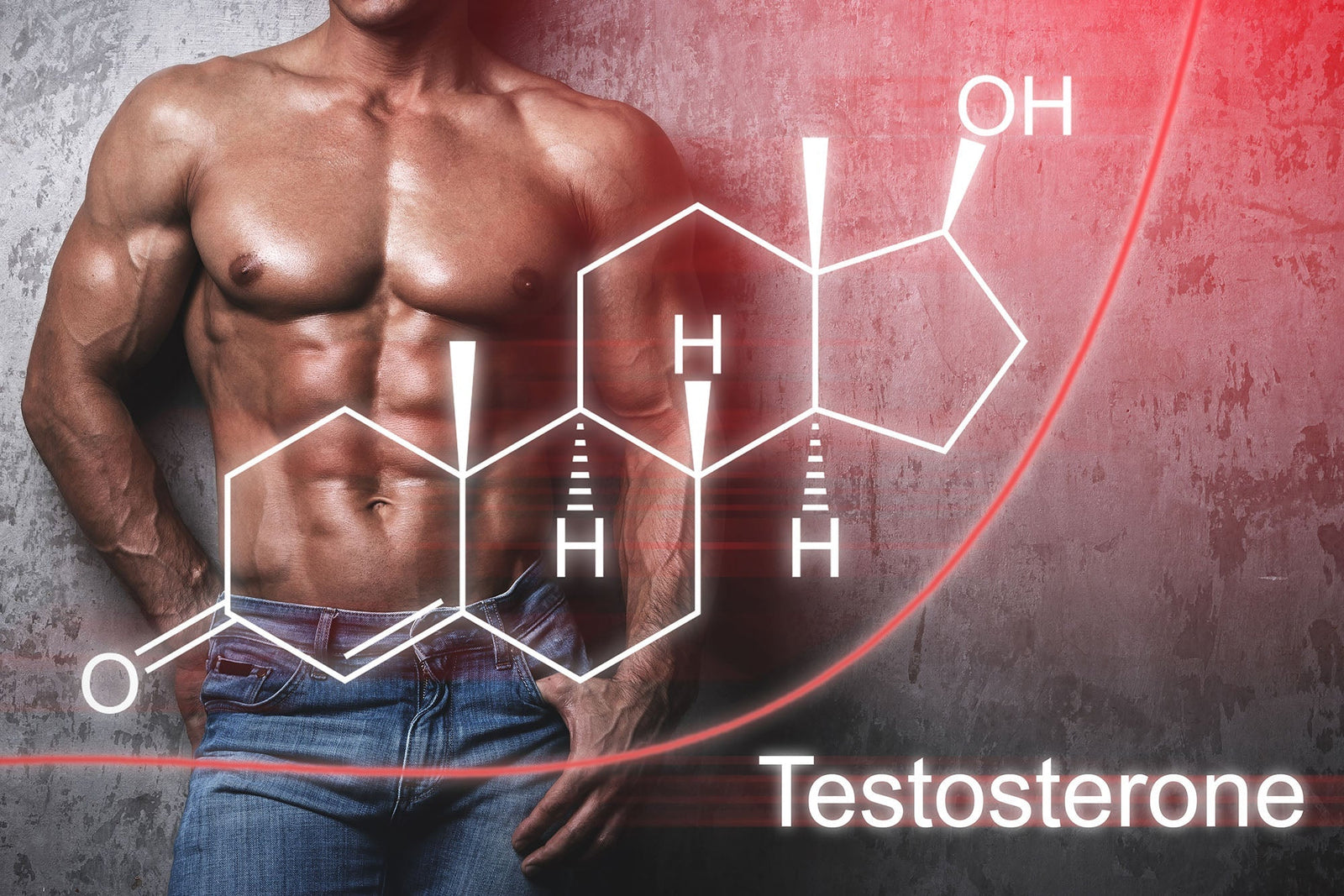 Wie sich Sport auf die Potenz auswirkt – Mehr Testosteron, mehr Lebensqualität