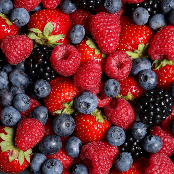 Warum Beeren in keiner Ernährung fehlen sollten