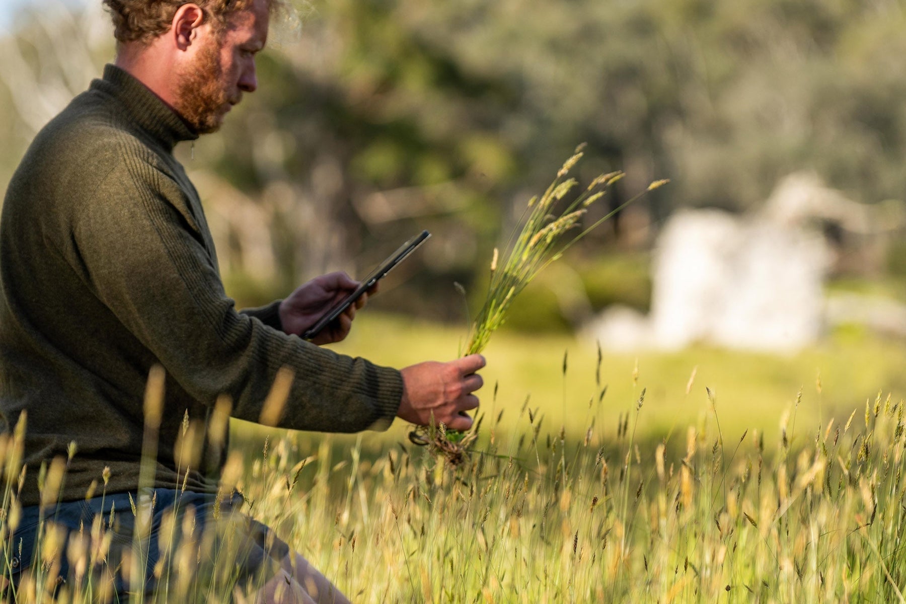 Regionale Nahrungsmittel aus Deutschland: Nährstoffbomben im Frühling